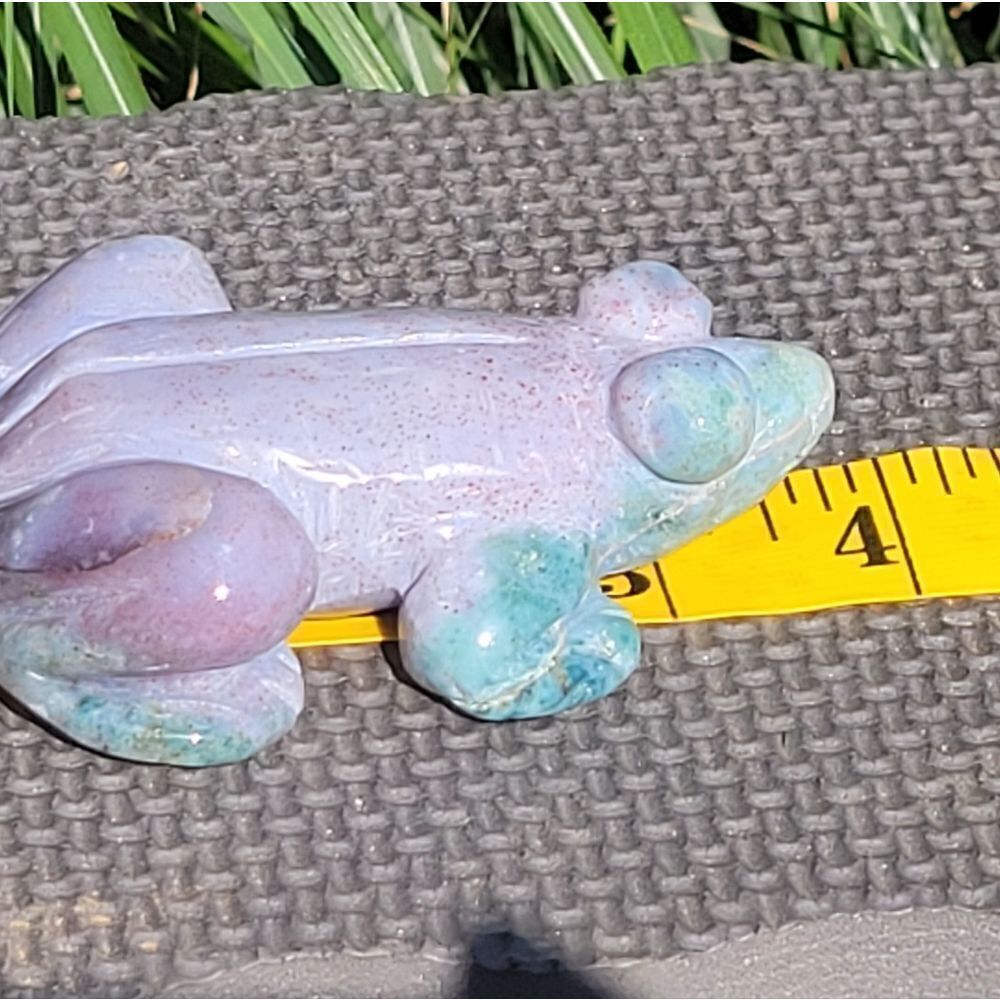 Ocean Jasper Frog - Picture 8 of 10